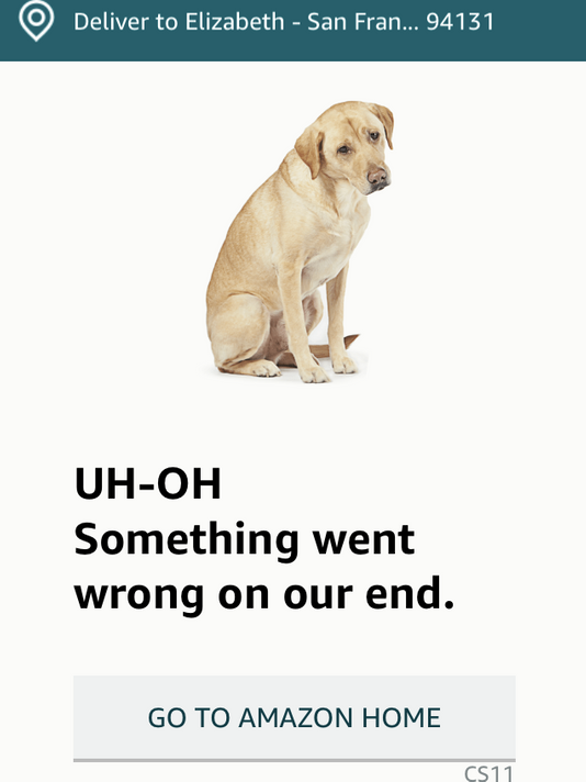 5-amazon.jpg 5-amazon.jpg